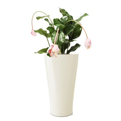 ��������� + DELTA 30