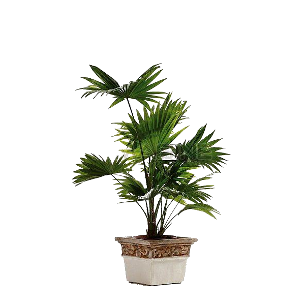 ��������� ������������ 60/14