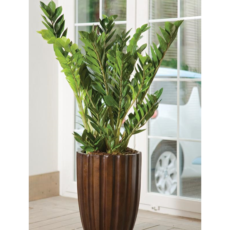 ������������ 70/17