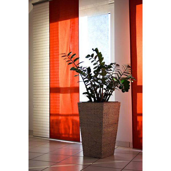 ������������ 80/17