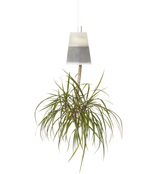 BOSKKE SKY PLANTER ����������, MEDIUM
