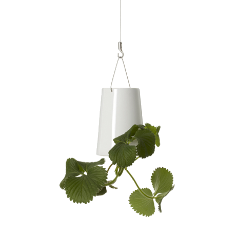 BOSKKE SKY PLANTER CERAMIC, MINI �����