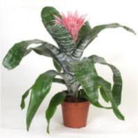 ����� 45/12