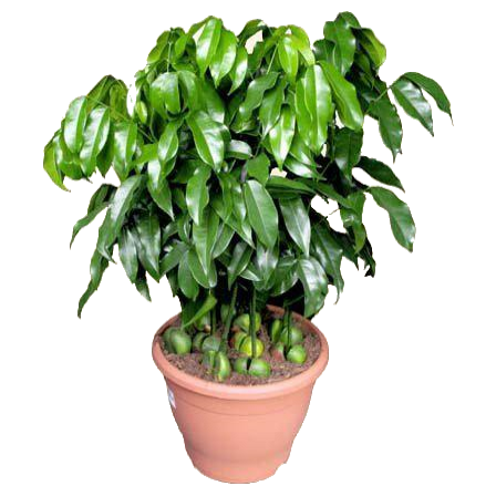 ������ 40/12