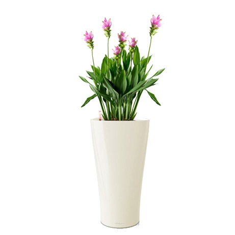 ������� + DELTA 30