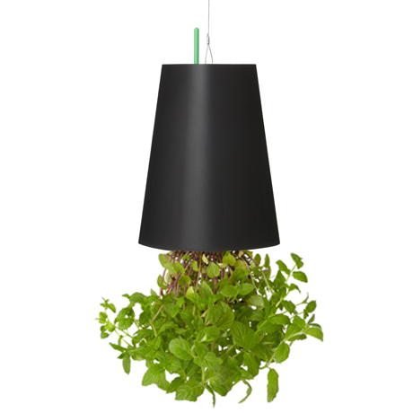 BOSKKE SKY PLANTER RECYCLED, MEDIUM ������