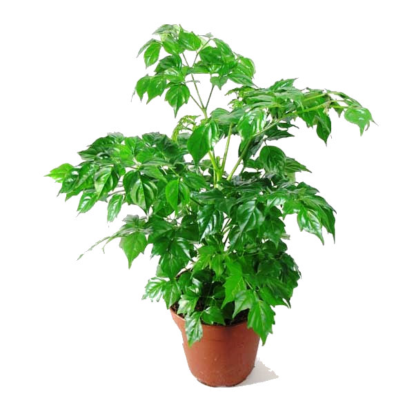 ����������� 30/12