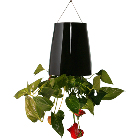 BOSKKE SKY PLANTER CERAMIC, MEDIUM ������