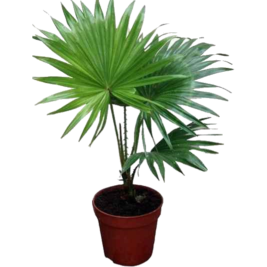 ��������� ������������ 40/12