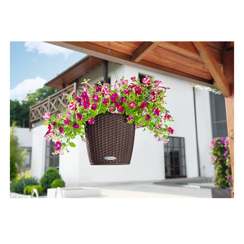 Lechuza Nido COTTAGE (����� ���������)