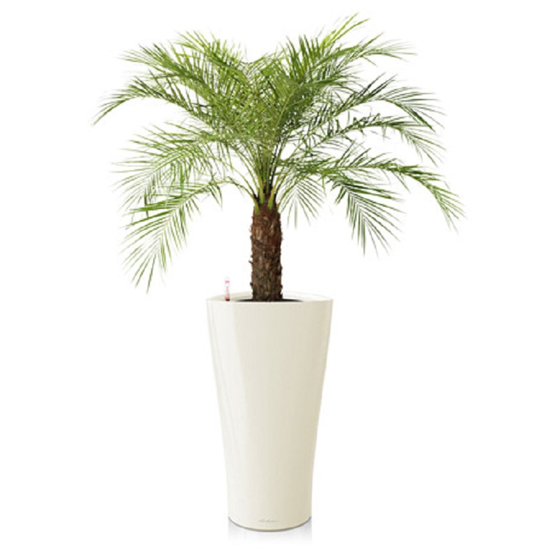 ����� �������� + DELTA 30