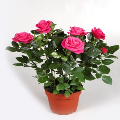 ����� 35/13