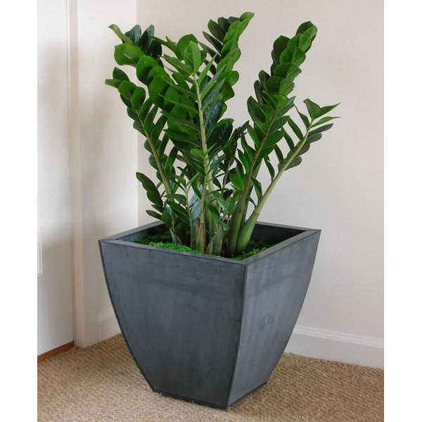 ������������ 90/21