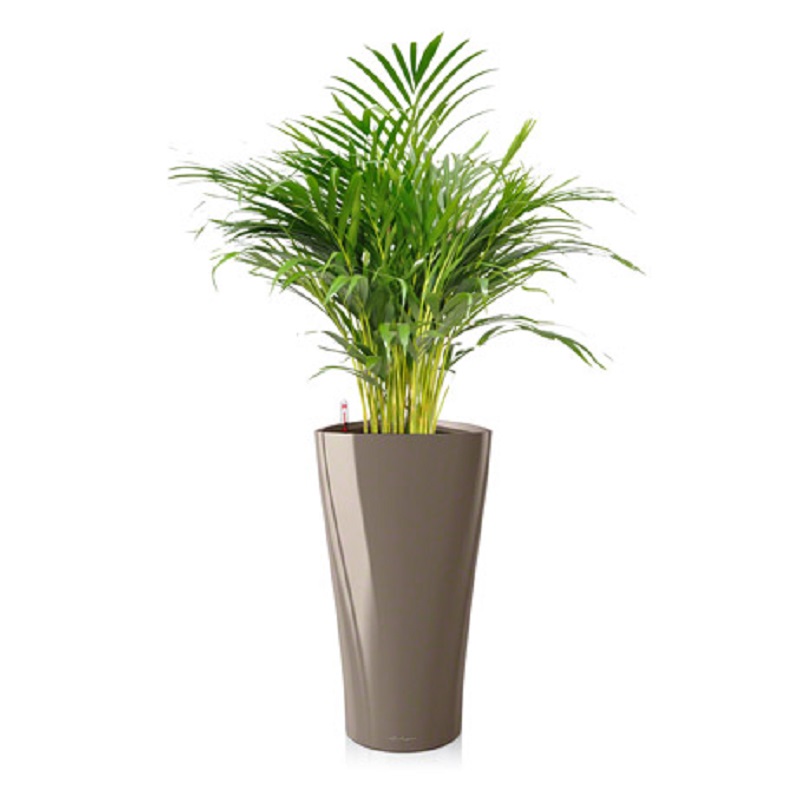 ��������������� + DELTA 30