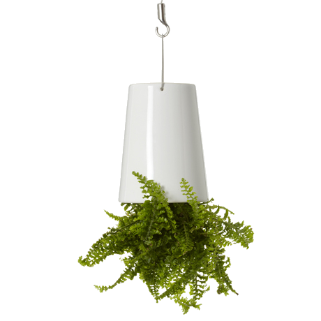 BOSKKE SKY PLANTER CERAMIC, SMALL  �����
