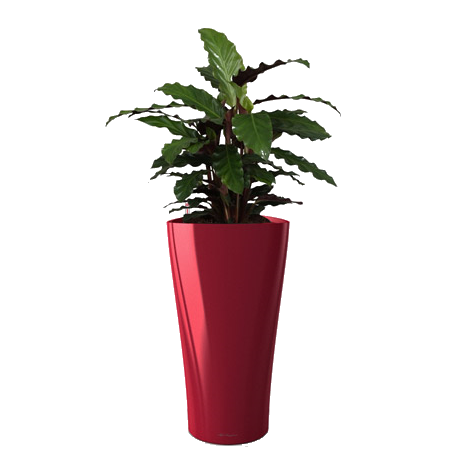 ������� ��������� + DELTA 30