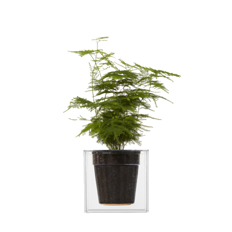BOSKKE CUBE, SMALL