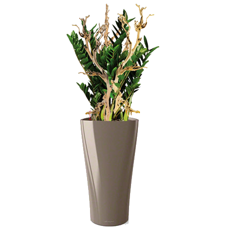 ������������ ������������ + DELTA 30