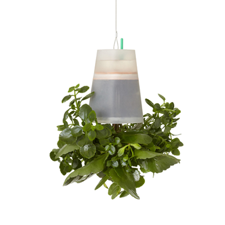 BOSKKE SKY PLANTER ����������, SMALL