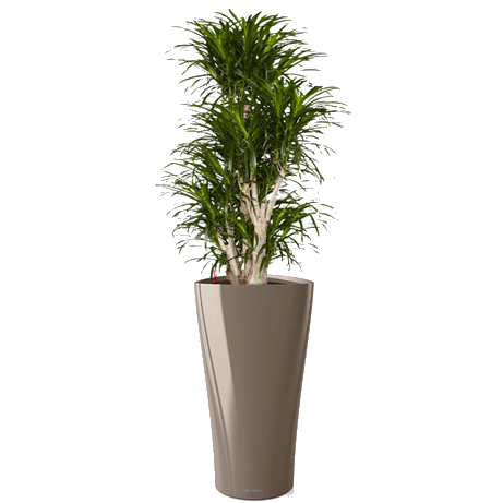 ������� ����� + DELTA 40