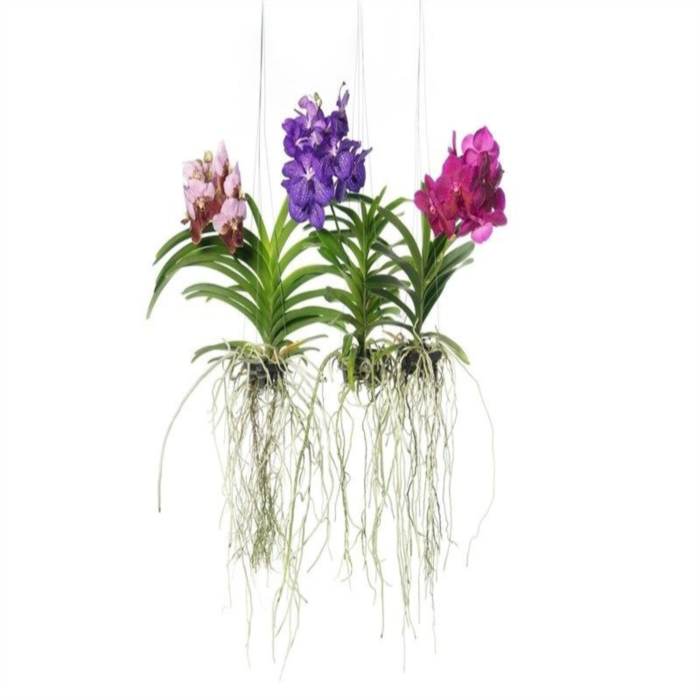 ������� ����� � ������������