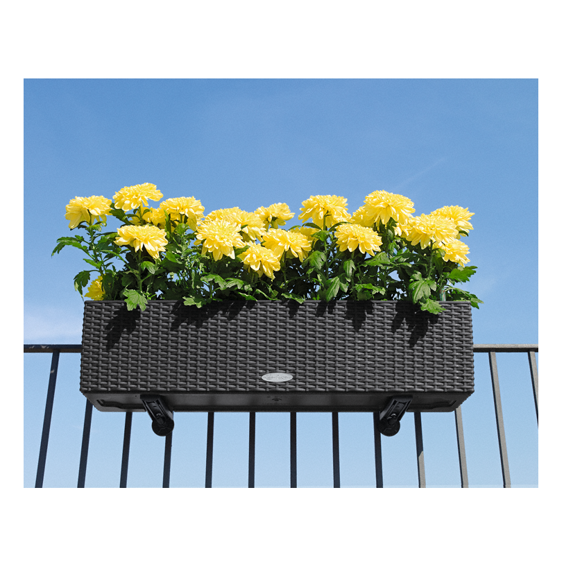 Lechuza Balconera COTTAGE