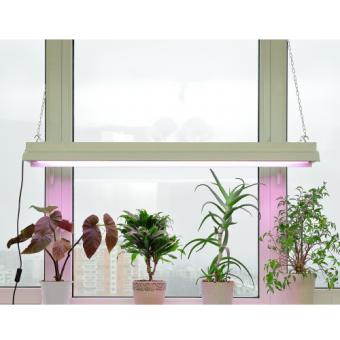 �������������� ��������� Sylvania Grolux T8