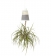 BOSKKE SKY PLANTER ����������, MEDIUM