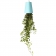 BOSKKE SKY PLANTER RECYCLED, SMALL �������