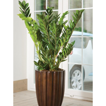 ������������ 70/17