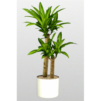 ������� ����������� 100/24