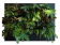����� ������� 90x70x10 ��