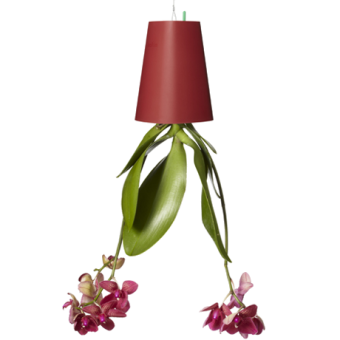 BOSKKE SKY PLANTER RECYCLED, SMALL �������