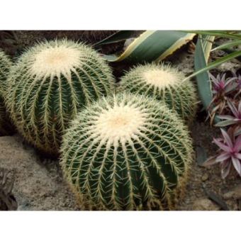 ��������� 35/17