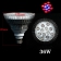 ������������ �������������� (LED)