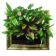 ����� ������� 60x60x10 ��