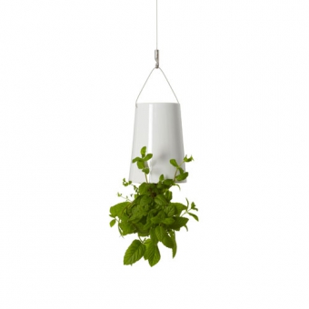 BOSKKE SKY PLANTER CERAMIC, MINI �����