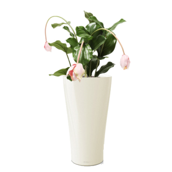 ��������� + DELTA 30