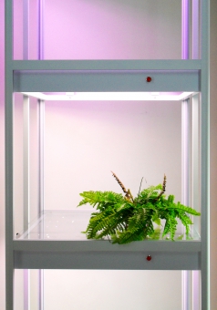 ������� ��� �������� ����������� ����