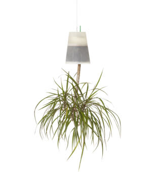 BOSKKE SKY PLANTER ����������, MEDIUM