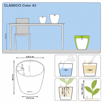 Lechuza Classico COLOR