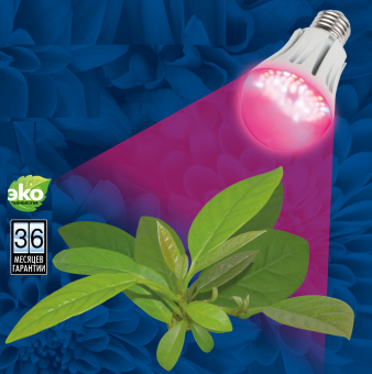 ������������ ��������� LED 9 �� E27	