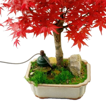 Tropf-Blumat Bonsai / ����� ������ ������ (11701)