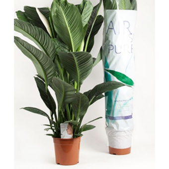 ����������� �������� 140/24