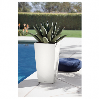 Lechuza Cubico PREMIUM