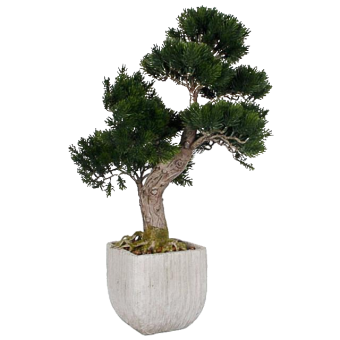 ������������ ������ ����� 45��