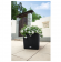 Lechuza Cube COTTAGE