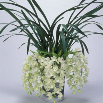 ������� ��������� ���� ����� ��� ������