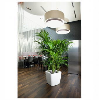 Lechuza Quadro LS PREMIUM