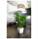 Lechuza Quadro LS PREMIUM